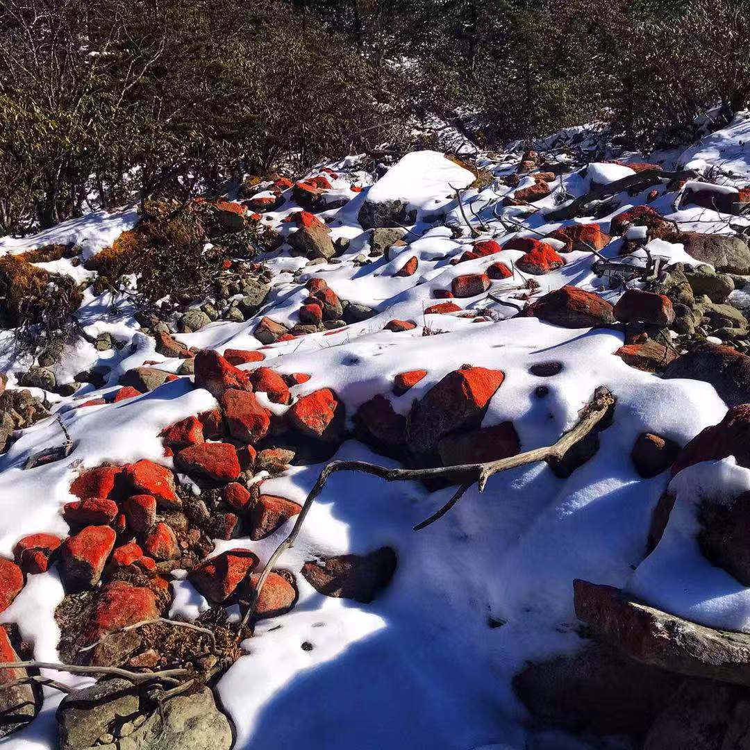 冬天是否适合去川西,如果你冬天敢来西藏旅游