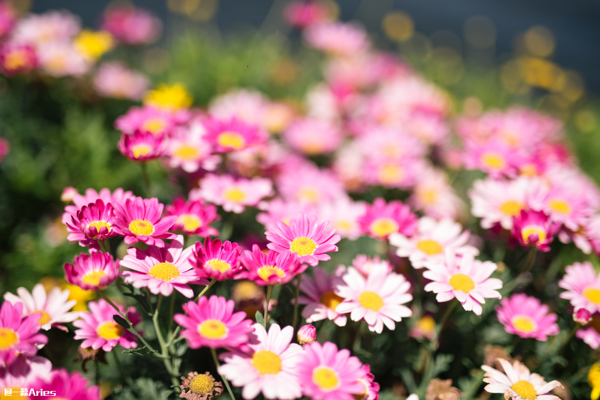 大理环洱海自驾游最佳攻略,大理环海岸线自驾游