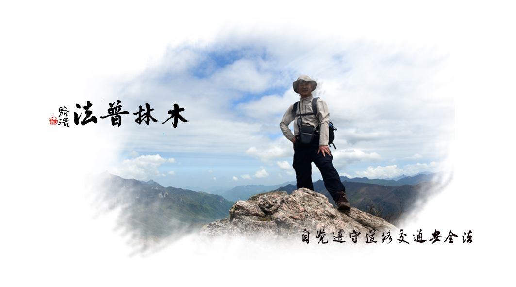 交通信号灯的黄灯代表什么意思,交通信号灯的黄灯代表什么