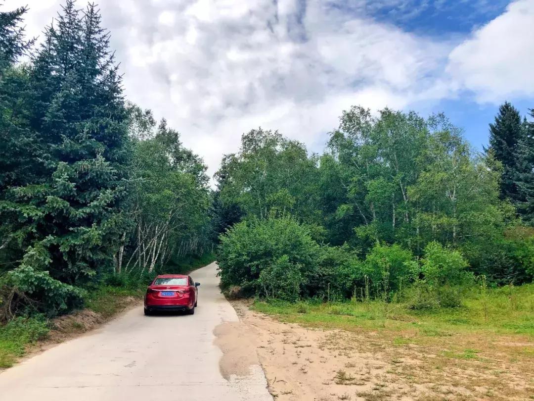 千松坝国家森林公园看云海,在万米的高空看云海