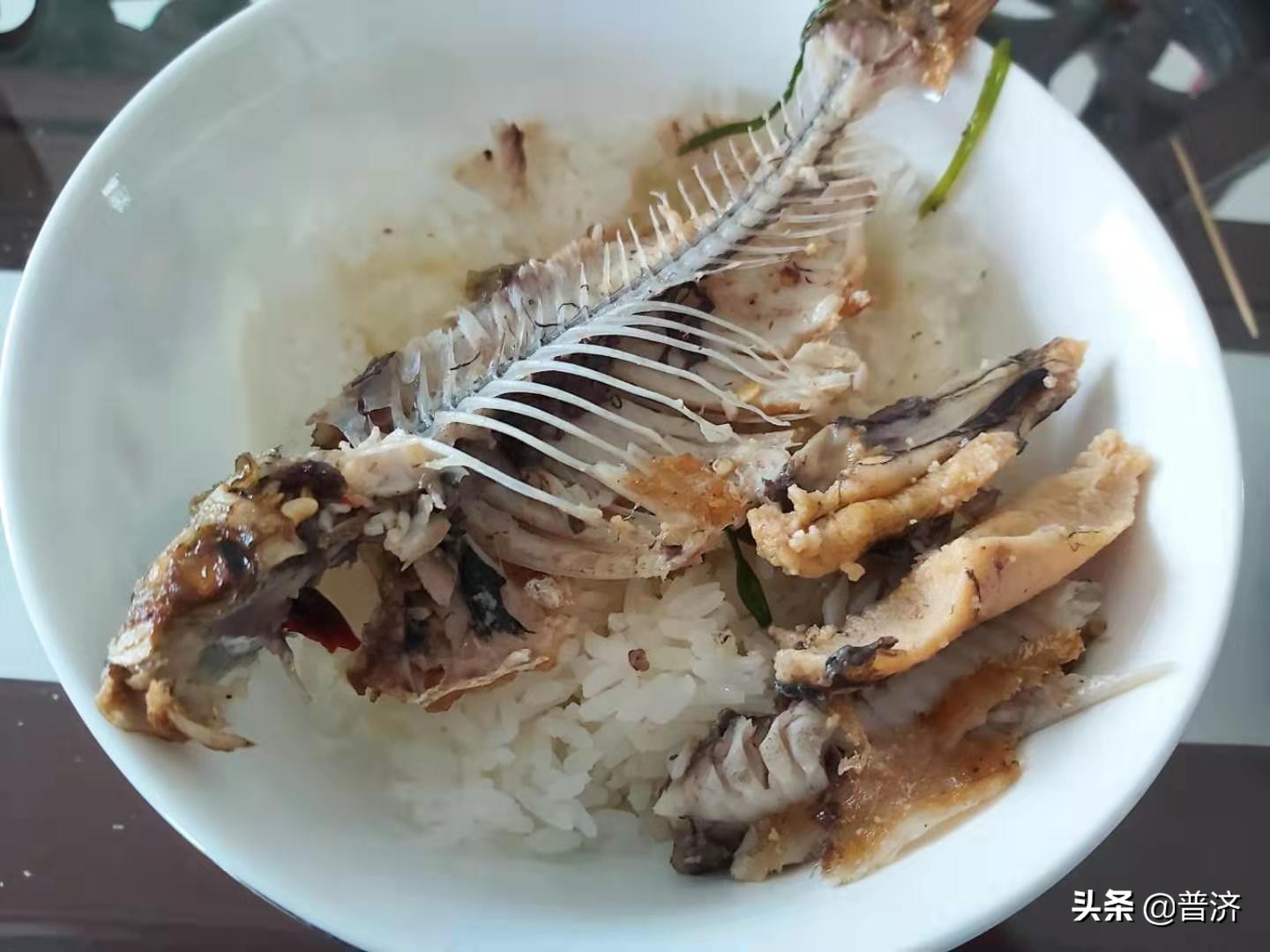 家庭鲫鱼教程,家庭摆擂台视频