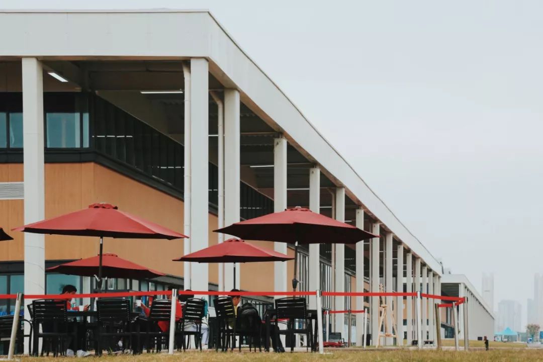 走，带你去看黄家湖畔的“蓝马甲”