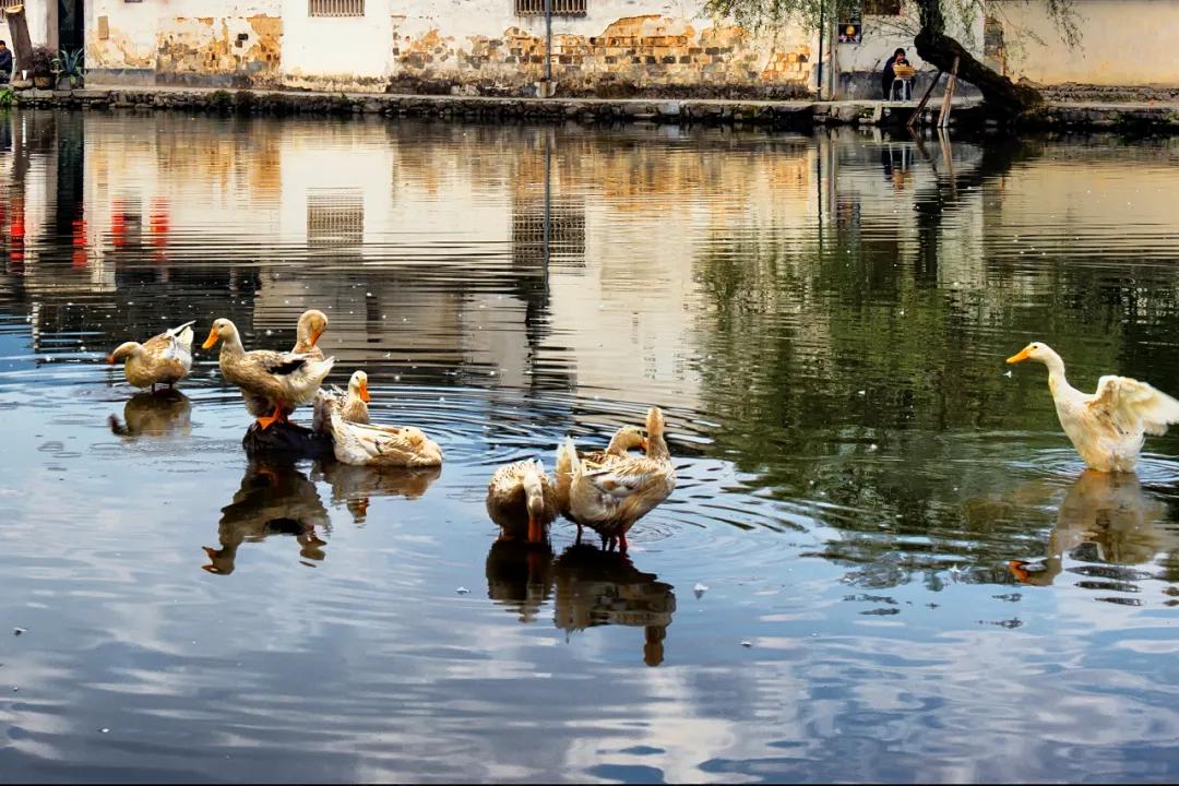 医生：特别累就别洗澡！好的，我听医生的