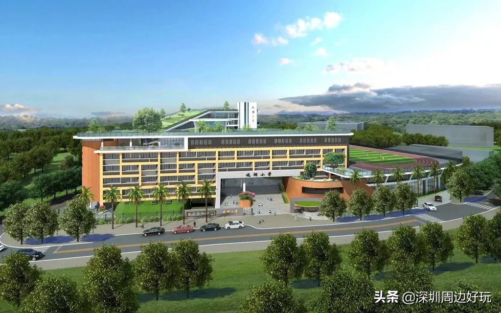 住在深圳各区的人,住在深圳市的人