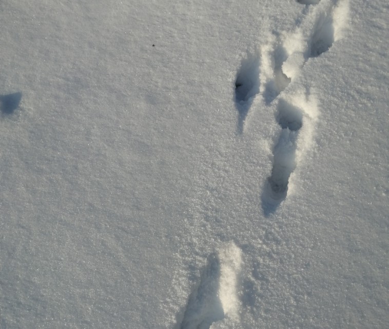 吉林市最冷的景点,吉林省冬季自然景观