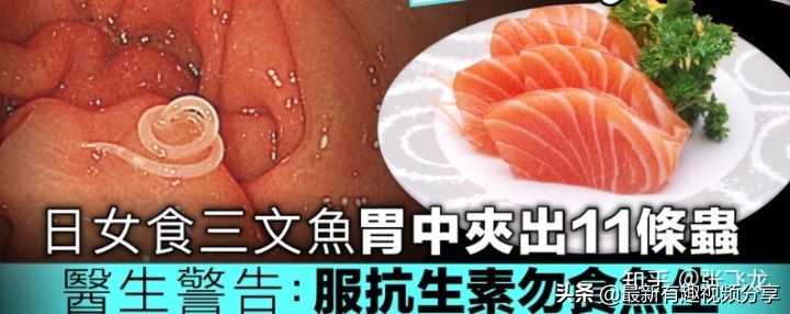 挪威三文鱼养殖环境恶劣纪录片,挪威三文鱼养殖环境恶劣新闻