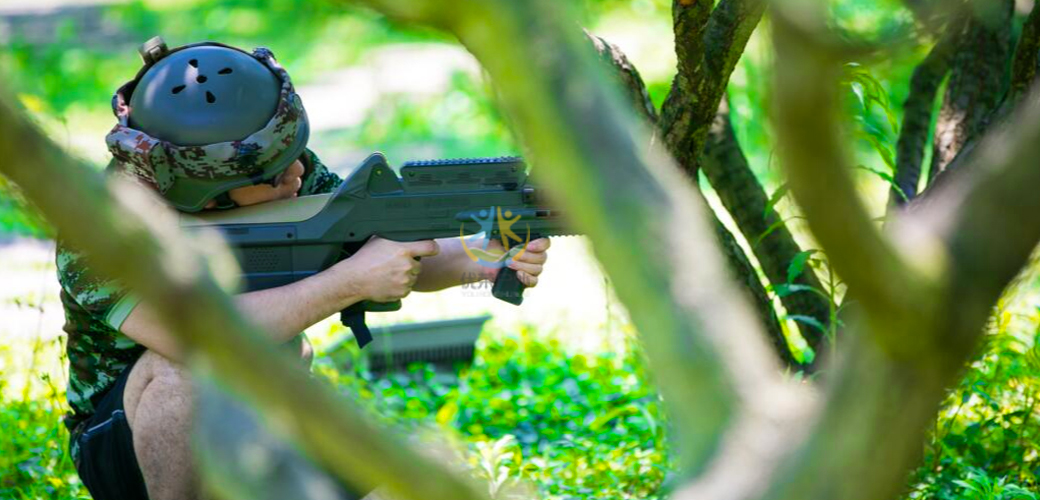 火力全开王者荣耀,火力全开吃鸡