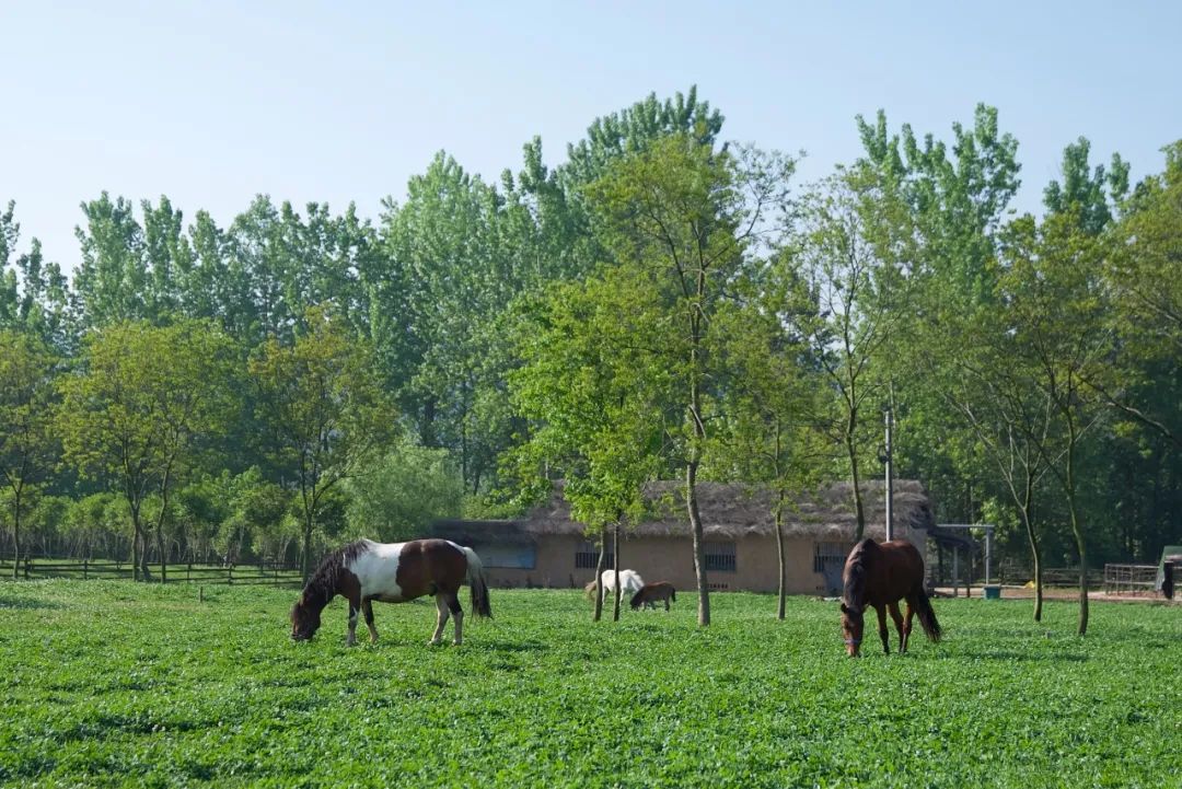 腾讯高管辞职隐居,腾讯元老隐居合肥