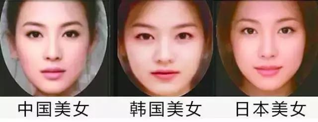中国标准美女的脸型,美女的标准脸分布图