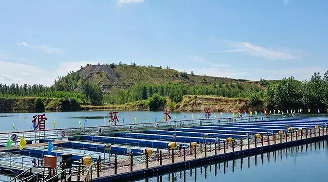 矿坑改造最美公园,矿坑改造湿地公园视频