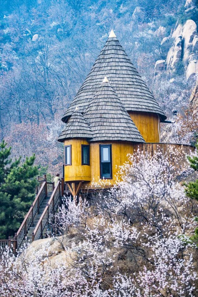 真正的森林树屋,这些树屋满足你对森林的所有幻想