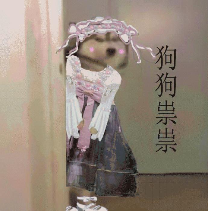 狗子老是抓自己怎么办,狗子频繁挠痒怎么办