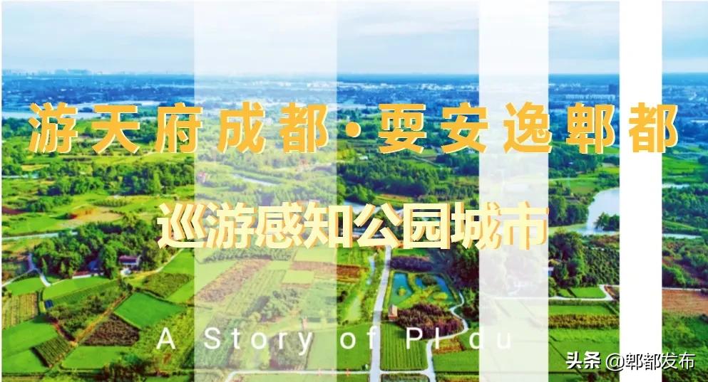 犀浦城市综合体,2018年犀浦新城发展规划