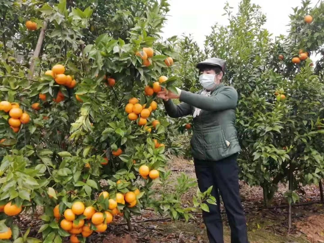 “甜”入人心！隔离疫情不隔离爱，滞留在广西的武汉人这样过元宵节