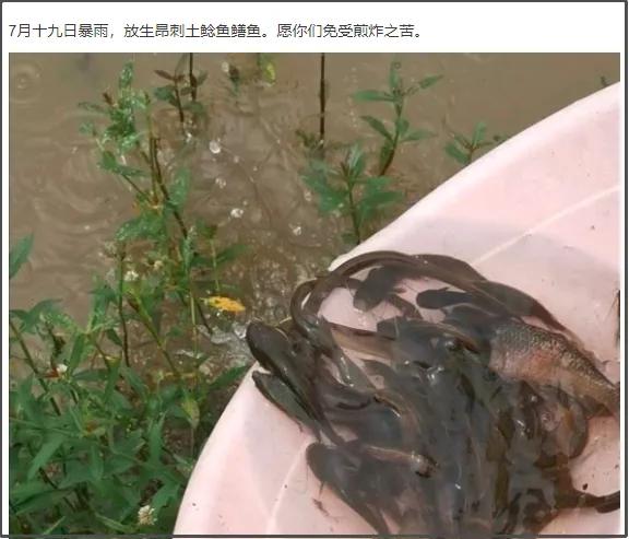 贴吧的奇葩问题,贴吧遇到的奇葩故事