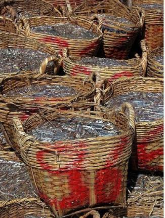 老人家将小杂鱼丢进缸里，不杀不洗，2个月让大家都吃“嗨”了