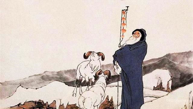 宁夏正宗的盐池滩羊,盐池滩羊都是内蒙的吗