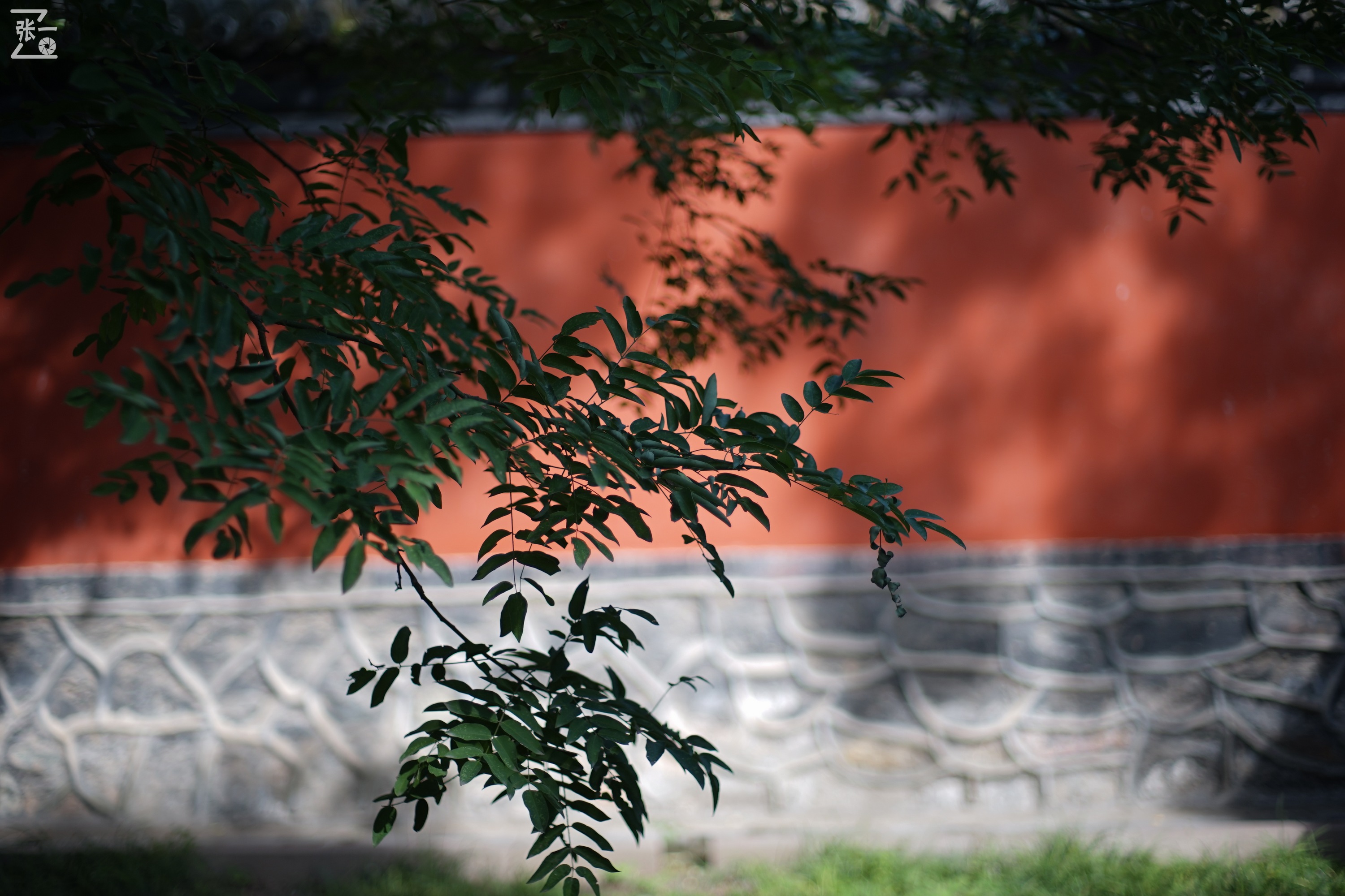 宾得老镜头k系列,老北京镜头