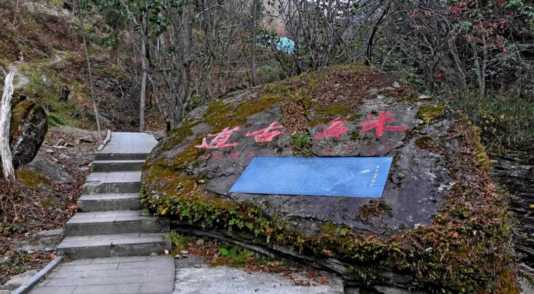 米仓古道文化,米仓古道简介