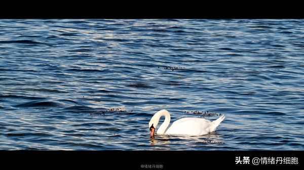 可以去玩一整天的地方,能玩一两天的地方