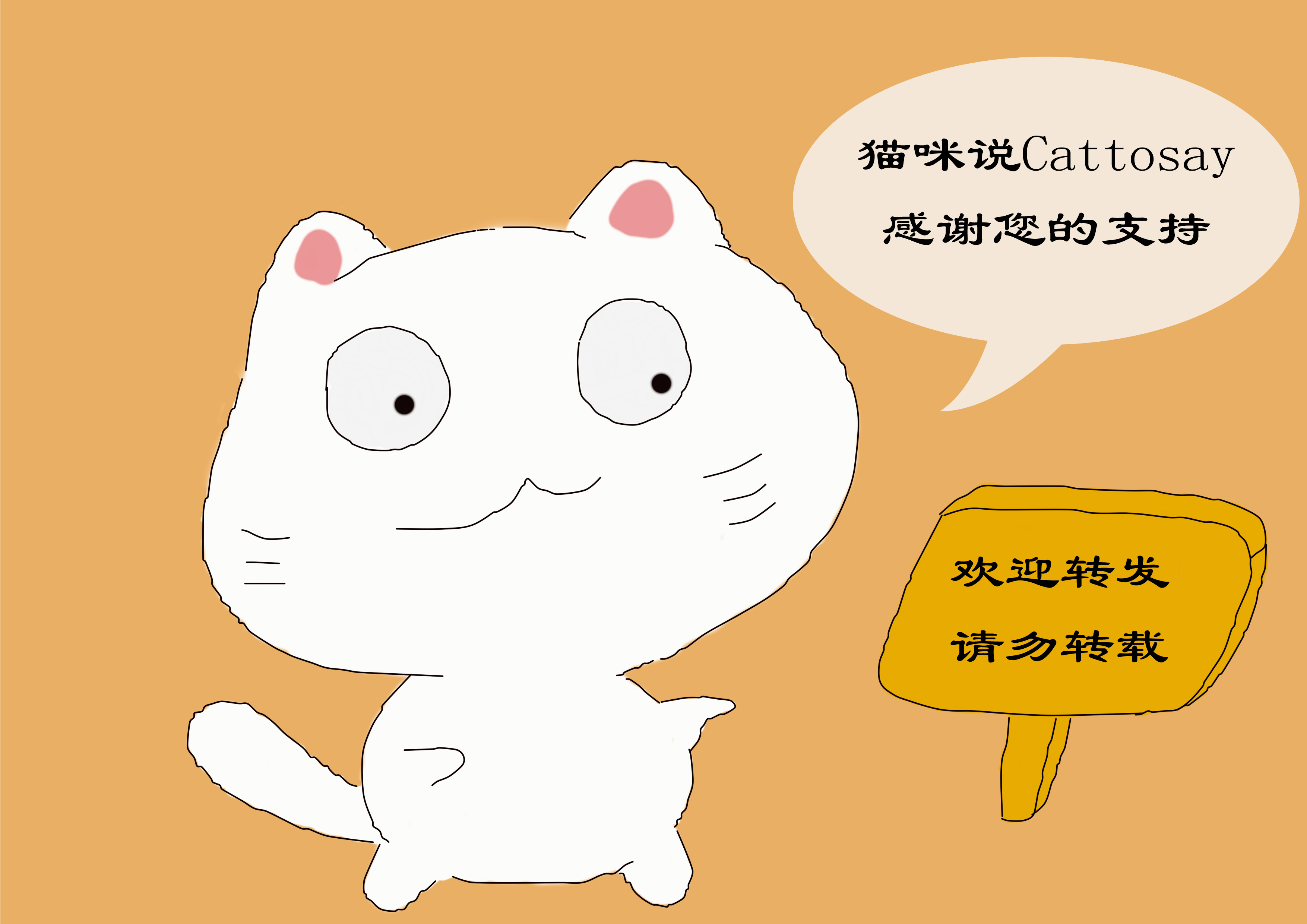 铲屎官养猫注意事项,对猫有利的3种玩耍方式