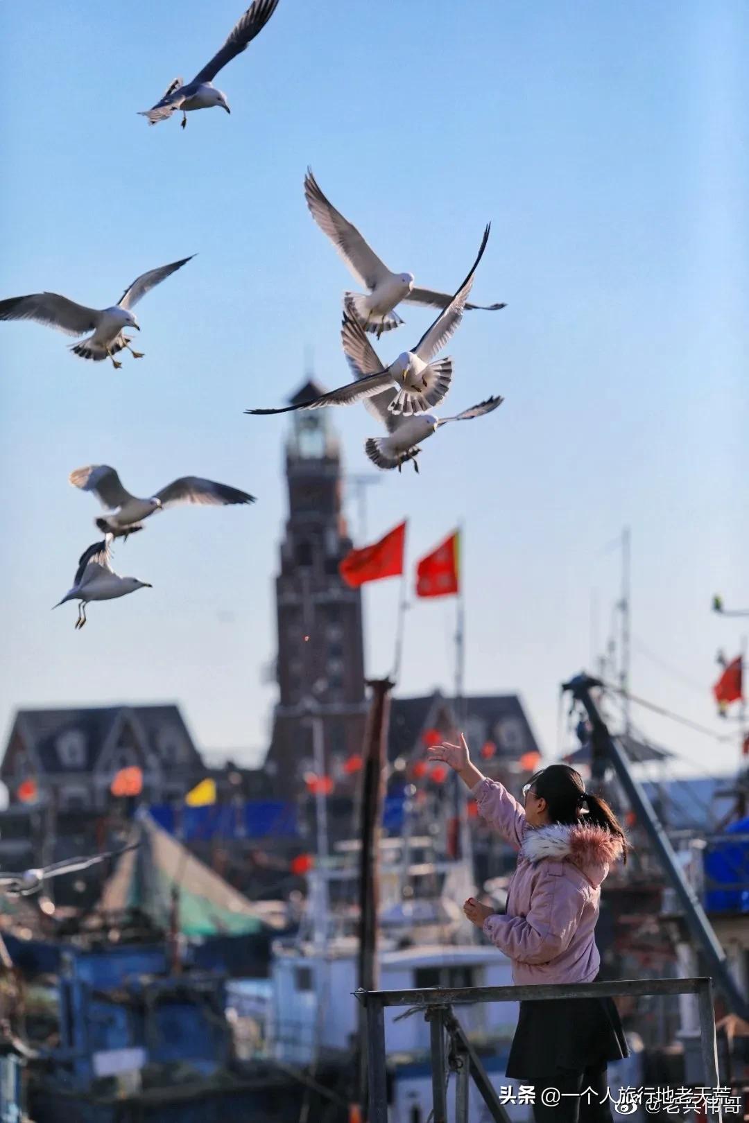 大连最浪漫的十个地方,大连浪漫景色