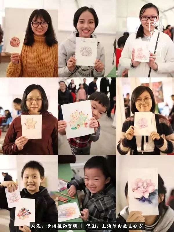 2023多肉展会直播,2023上海多肉植物展