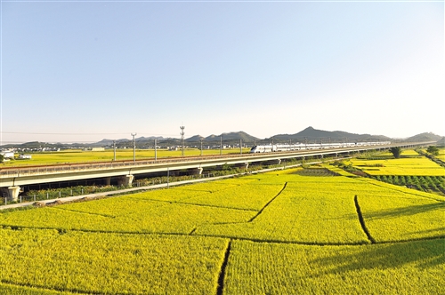 新型职业农民弄潮八桂