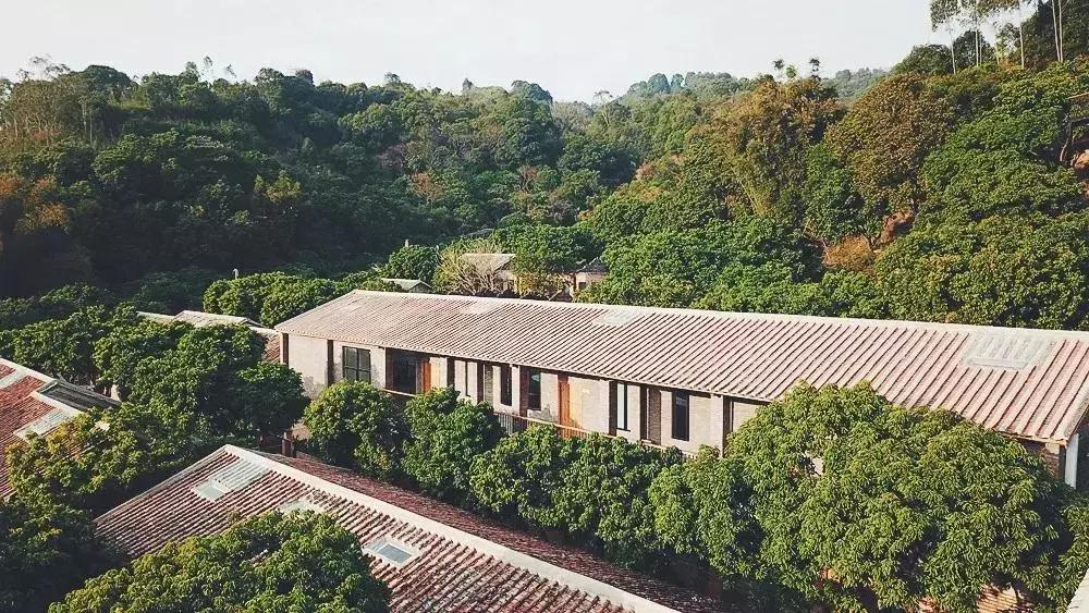 放弃世界顶尖银行工作,他回村当木匠,在废墟上盖出了爆美小院!