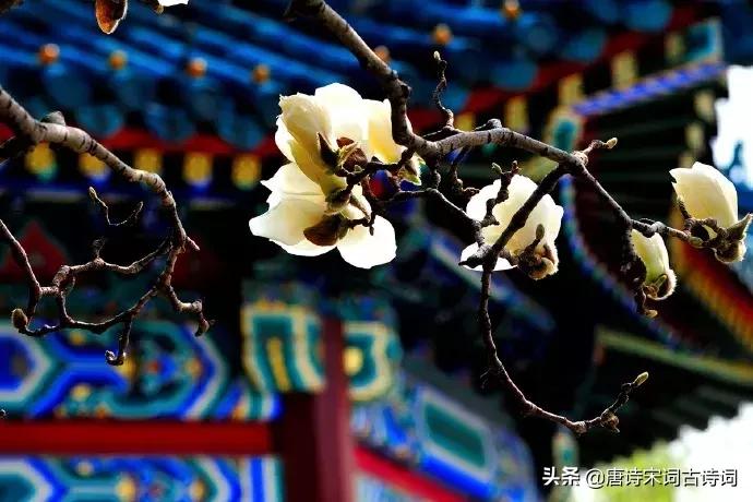 人生十首孤独绝美的诗词,闲适诗词50首