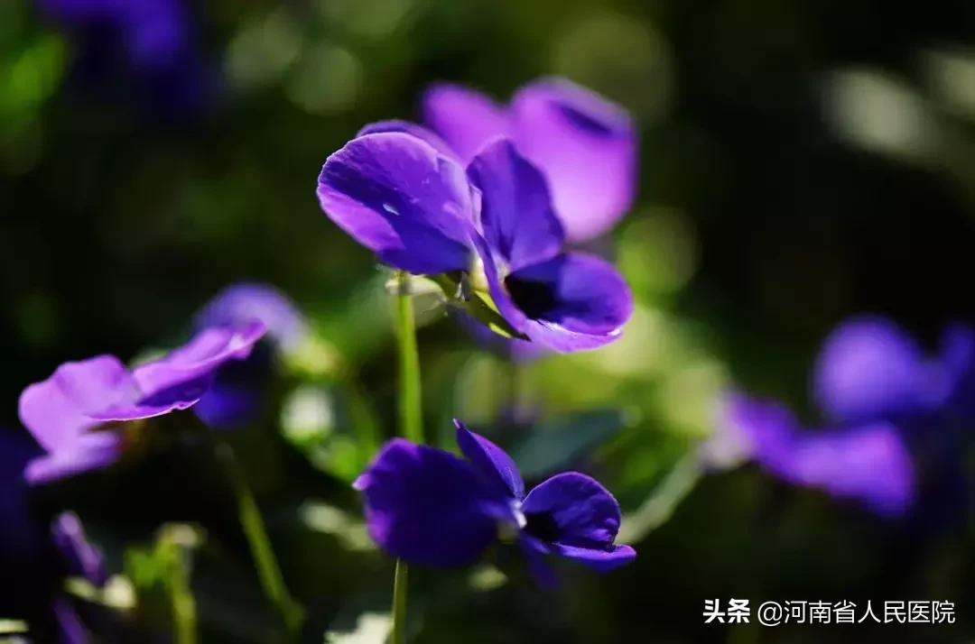 这种小电池差点毁了3个小宝宝！快把它从孩子身边拿开