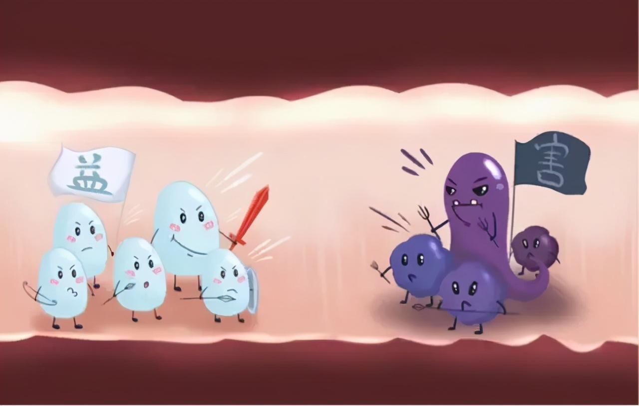 益生菌配合什么吃可以治皮肤病,补充益生菌治疗真菌皮肤病