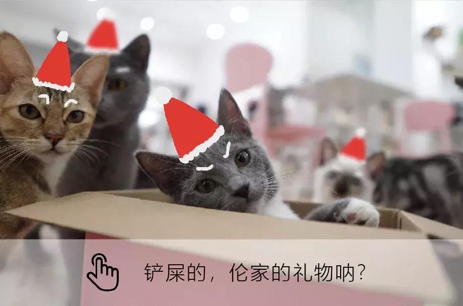 来积分365网,领取专属圣诞礼物!