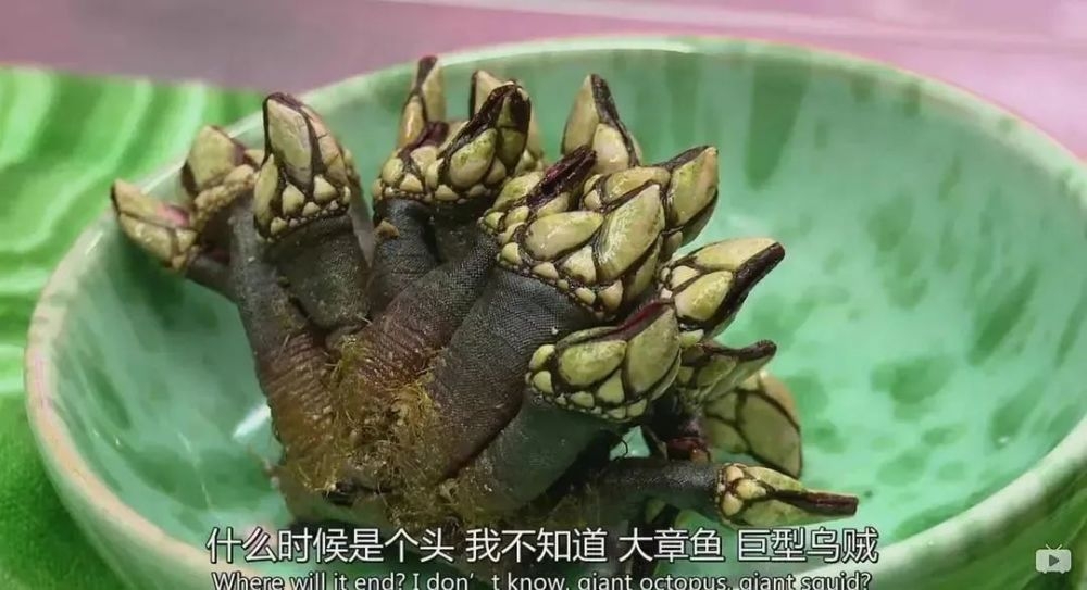 真实的亿万富豪纪录片,亿万富翁的有钱人生纪录片