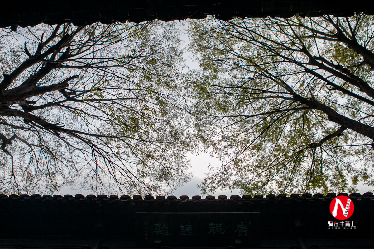 兴化三日游自驾游路线,去兴化看油菜花海攻略