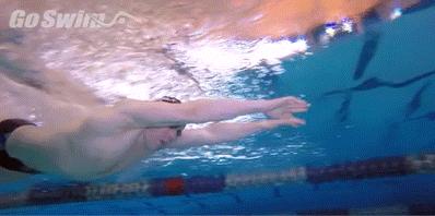 游泳教学零基础青蛙泳,蝶仰蛙正确游泳方法