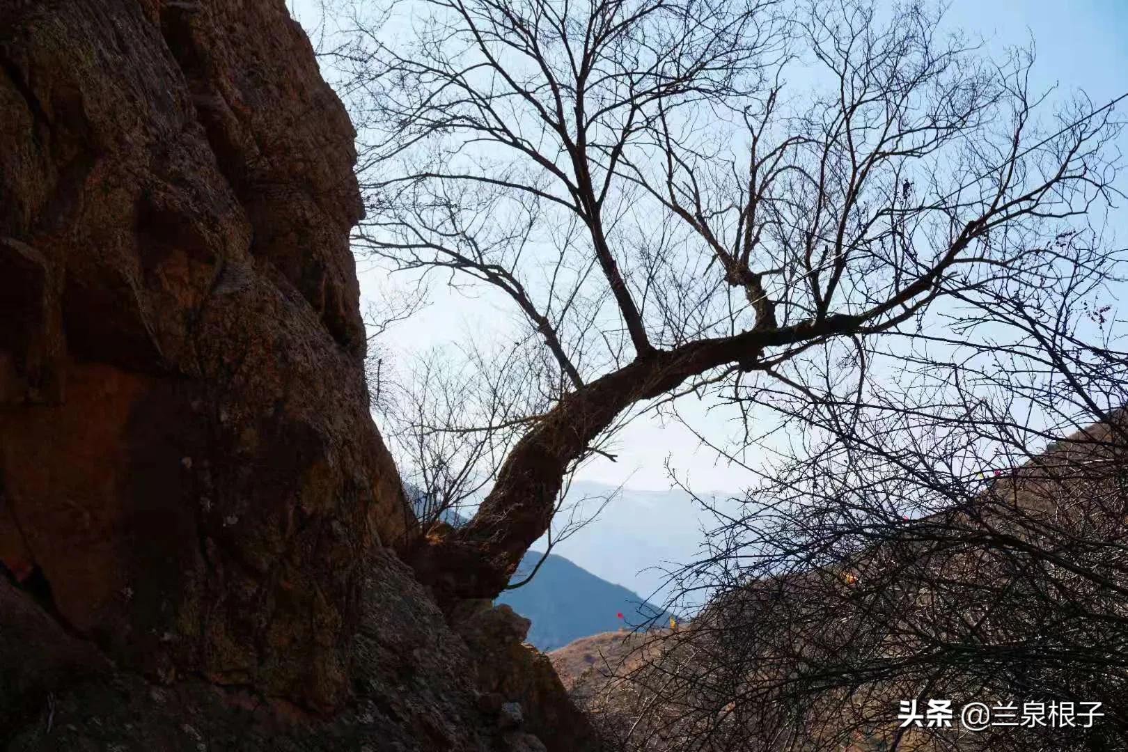 甘肃永靖金花娘娘,永靖金花娘娘的传说