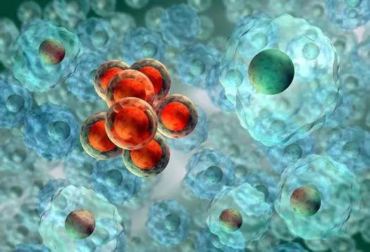 自存脐带血的价值不应被盲目否定 (科学认识自存脐带血)