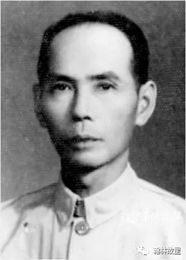 潮州方言詹伯慧,詹伯慧简介