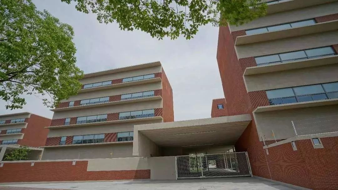 上海各区小升初学校排名,上海市区新开小学