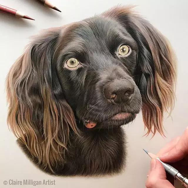 画得比实物好看,彩铅怎么样能画好看