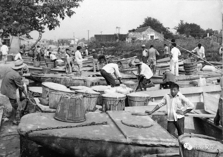粜谷|用农船将稻谷运往粮管所，人们称之为“粜谷”