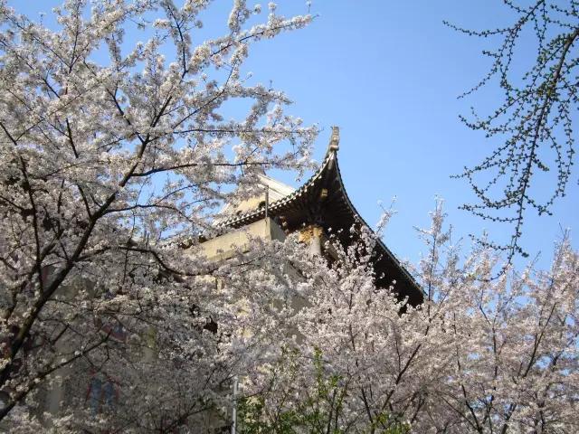 简单介绍一下关于武汉,你真的了解武汉吗