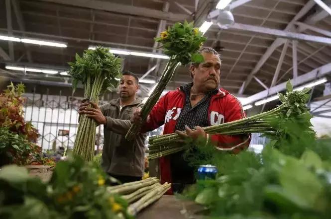 在硅谷的工资大概多少,硅谷未来最吃香的岗位