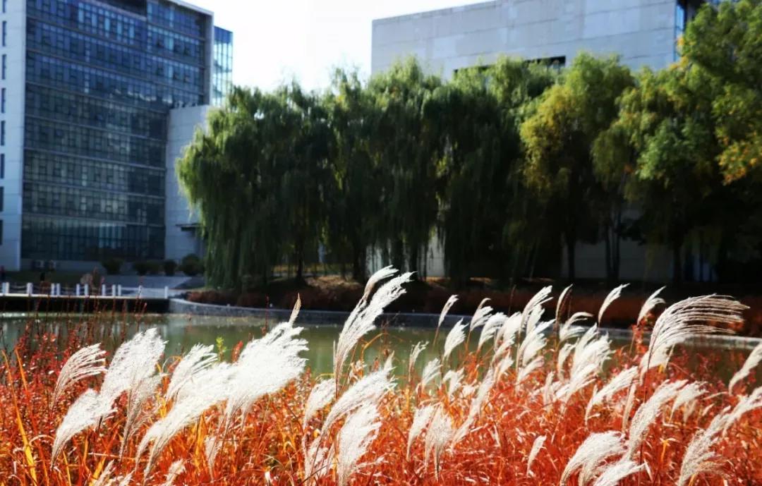 辽宁省内大学排名沈阳医学院,辽宁省沈阳医学院前景