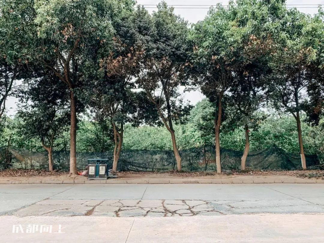 新繁=心烦？？曾经的五强县为何沦落到这种地步？