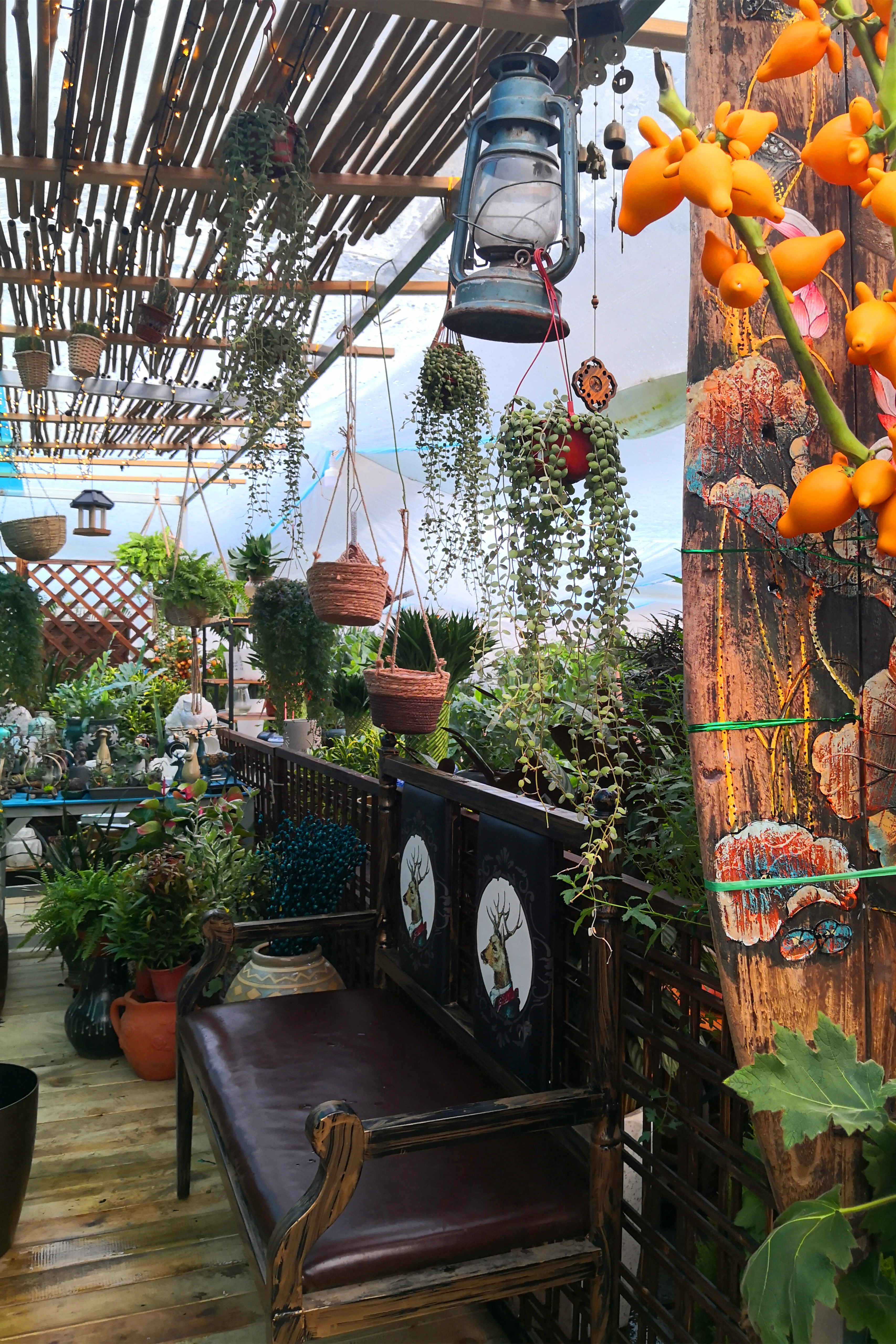 东营最大的花卉批发市场在哪里,东营地区哪里有花卉市场