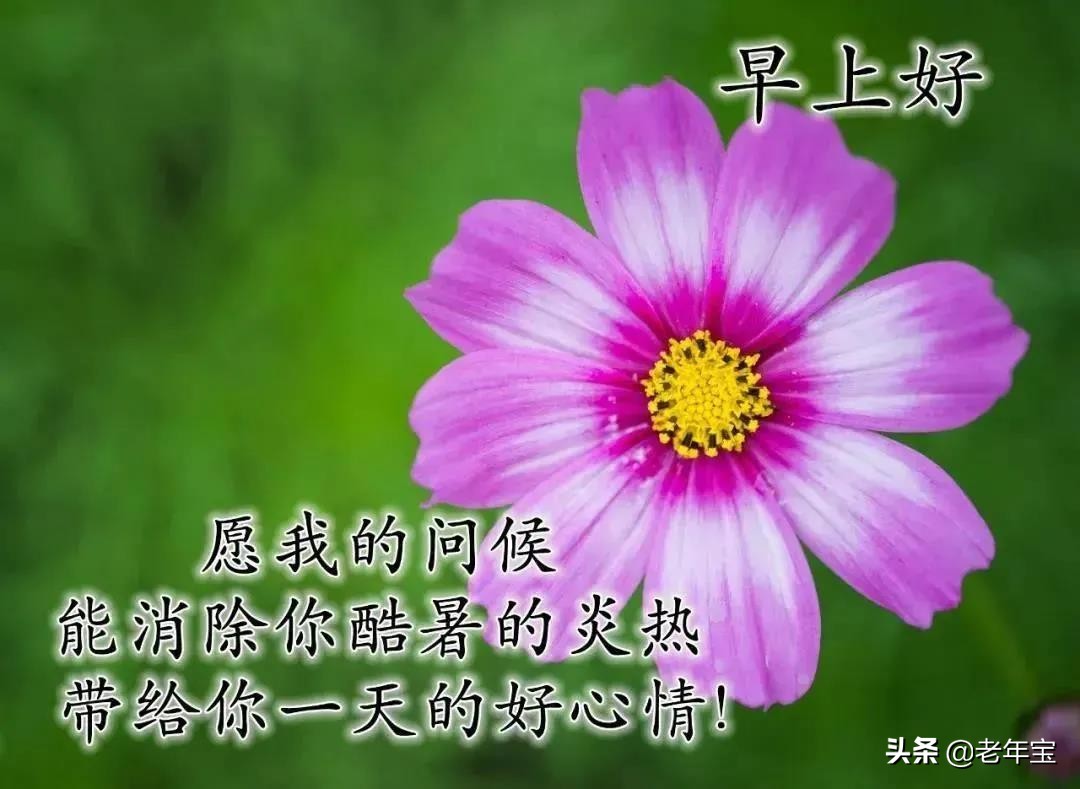 早上好周末愉快问候语动态表情包,周一早上好最新图片表情包