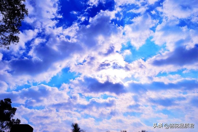 厦门海边之旅,厦门小众旅游体验