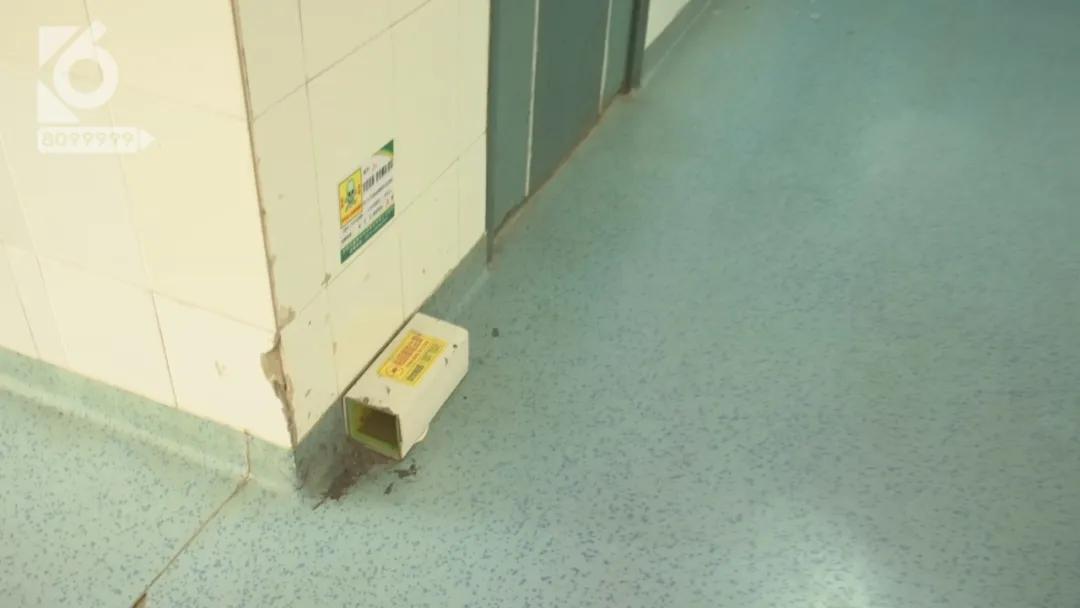 高热浑身乏力食欲不振,浑身忽冷忽热酸痛无力是新冠么